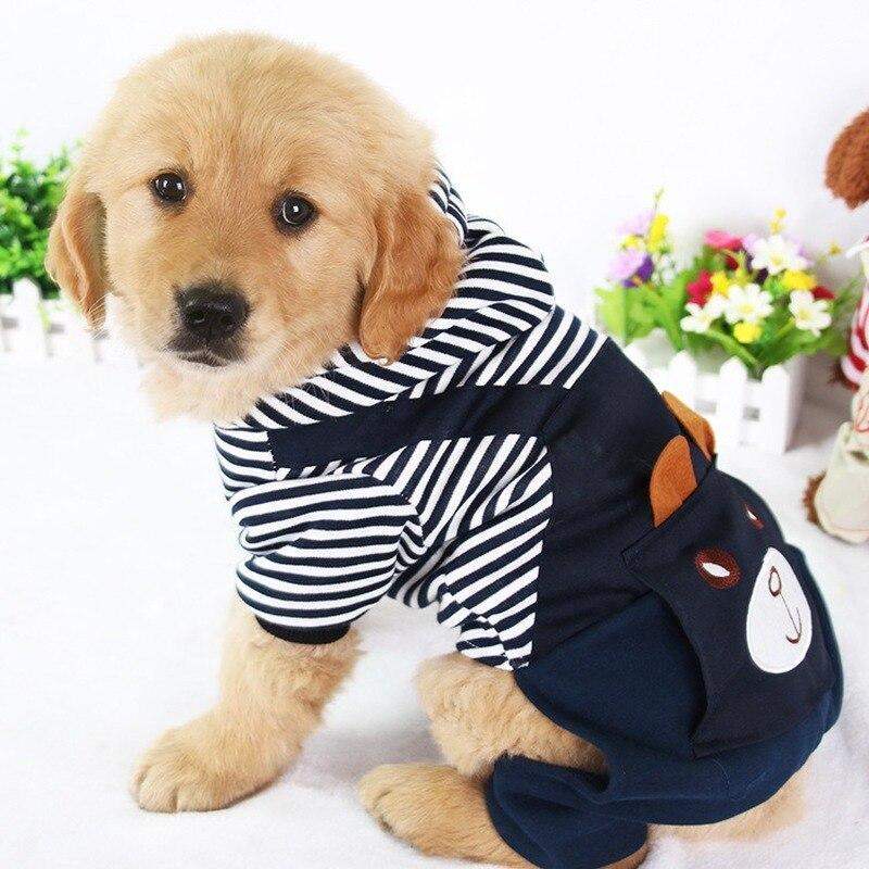 Golden retriever puppy wearing a navy and white striped dog hoodie with a bear face pocket, indoors with flowers in the background