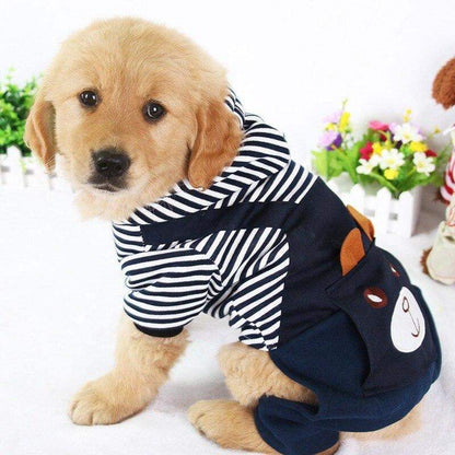 Golden retriever puppy wearing a navy and white striped dog hoodie with a bear face pocket, indoors with flowers in the background
