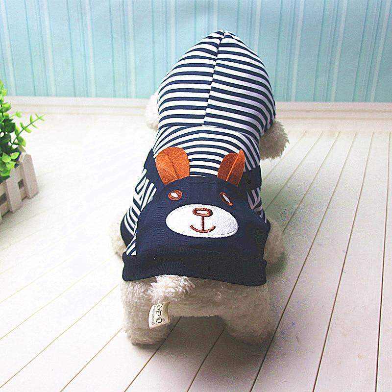Small dog wearing a navy and white striped dog hoodie with a bear face design on the back, indoor setting with wooden floor and light blue wall.